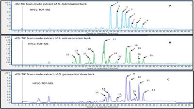 LC-MS based analysis reveal antimicrobial compounds from Gabonese pharmacopoeia: chemical characterisation and cytotoxicity evaluation